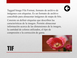 TIF
Tagged Image File Format, formato de archivo de
imágenes con etiquetas. Es un formato de archivo
concebido para almacenar imágenes de mapa de bits.
Consiste en definir etiquetas que describen las
características de la imagen. Permite almacenar
información acerca de las dimensiones de la imagen,
la cantidad de colores utilizados, el tipo de
compresión o la corrección de gama.
 