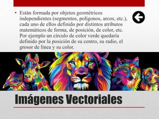 Imágenes Vectoriales
• Están formada por objetos geométricos
independientes (segmentos, polígonos, arcos, etc.),
cada uno de ellos definido por distintos atributos
matemáticos de forma, de posición, de color, etc.
Por ejemplo un círculo de color verde quedaría
definido por la posición de su centro, su radio, el
grosor de línea y su color.
 