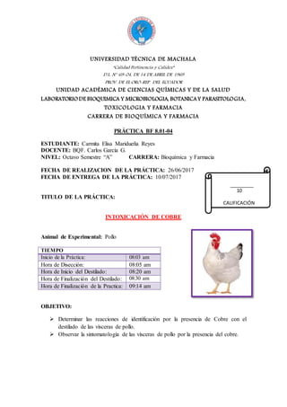 UNIVERSIDAD TÉCNICA DE MACHALA
“Calidad Pertinencia y Calidez”
D.L. N° 69-04, DE 14 DE ABRIL DE 1969
PROV. DE EL ORO-REP. DEL ECUADOR
UNIDAD ACADÉMICA DE CIENCIAS QUÍMICAS Y DE LA SALUD
LABORATORIODE BIOQUIMICA Y MICROBIOLOGIA, BOTANICAY PARASITOLOGIA,
TOXICOLOGIA Y FARMACIA
CARRERA DE BIOQUÍMICA Y FARMACIA
PRÁCTICA BF 8.01-04
ESTUDIANTE: Carmita Elisa Maridueña Reyes
DOCENTE: BQF. Carlos García G.
NIVEL: Octavo Semestre “A” CARRERA: Bioquímica y Farmacia
FECHA DE REALIZACION DE LA PRÁCTICA: 26/06/2017
FECHA DE ENTREGA DE LA PRÁCTICA: 10/07/2017
TITULO DE LA PRÁCTICA:
INTOXICACIÓN DE COBRE
Animal de Experimental: Pollo
TIEMPO
Inicio de la Práctica: 08:03 am
Hora de Disección: 08:05 am
Hora de Inicio del Destilado: 08:20 am
Hora de Finalización del Destilado: 08:30 am
Hora de Finalización de la Practica: 09:14 am
OBJETIVO:
 Determinar las reacciones de identificación por la presencia de Cobre con el
destilado de las vísceras de pollo.
 Observar la sintomatología de las vísceras de pollo por la presencia del cobre.
10
CALIFICACIÓN
 