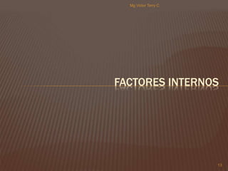 FACTORES INTERNOS 
13 
Mg Victor Terry C 
 