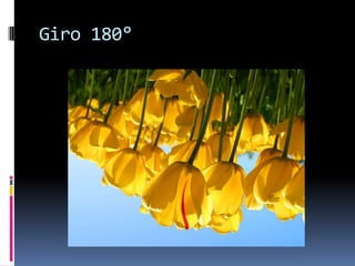 Giro 180°