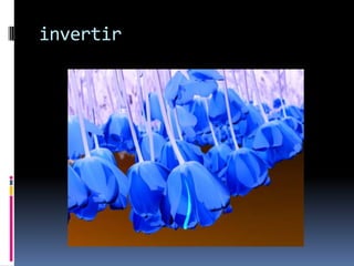 invertir