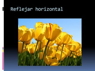 Reflejar horizontal