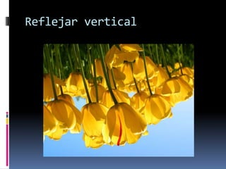 Reflejar vertical
