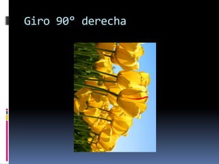 Giro 90° derecha