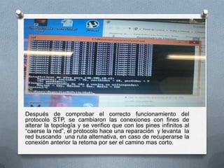 Después de comprobar el correcto funcionamiento del
protocolo STP, se cambiaron las conexiones con fines de
alterar la topología y se verifico que con los pines infinitos al
“caerse la red”, el protocolo hace una reparación y levanta la
red buscando una ruta alternativa, en caso de recuperarse la
conexión anterior la retoma por ser el camino mas corto.
 