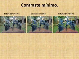 Saturación mínima Saturación normal Saturación máxima
Contraste mínimo.
 