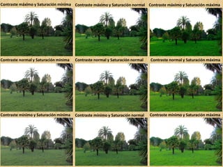 Contraste máximo y Saturación mínima Contraste máximo y Saturación normal Contraste máximo y Saturación máxima
Contraste normal y Saturación mínima Contraste normal y Saturación normal Contraste normal y Saturación máxima
Contraste mínimo y Saturación mínima Contraste mínimo y Saturación normal Contraste mínimo y Saturación máxima
 