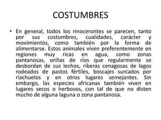 COSTUMBRESEn general, todos los rinocerontes se parecen, tanto por sus costumbres, cualidades, carácter y movimientos, como también por la forma de alimentarse. Estos animales viven preferentemente en regiones muy ricas en agua, como zonas pantanosas, orillas de ríos que regularmente se desbordan de sus lechos, riberas cenagosas de lagos rodeados de pastos fértiles, boscajes surcados por riachuelos y en otros lugares semejantes. Sin embargo, las especies africanas también viven en lugares secos o herbosos, con tal de que no disten mucho de alguna laguna o zona pantanosa.
