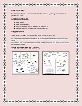 CONCLUSIONES:
En la muestra de orina humana no se encontró infección y conseguimos realizar la
practica con éxito.
RECOMENDACIONES:
Usar mandil
Usar guantes estéril
Utilizar pañitos húmedos para limpiar las manos
Lavarse las manos para prevenir enfermedades.
CUESTIONARIO:
¿Qué se significa encontrar cristales en la muestra de orina?
Es perfectamente normal tener cristales de oxalato de calcio en cantidad escasa en la
orina.
El problema está cuando están abundantes, pues predisponen a la aparición de cálculos
en el sistema urinario.
TIPOS DE CRISTALES DE LA ORINA.
 