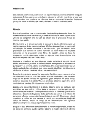 Introducción 
Los protistas paramecio o paramecium son organismos que podemos encontrar en aguas 
estancadas. Estos organismos unicelulares ejercen la nutrición heterótrofa al igual que 
otros animales, que, gracias a los cilios que tiene en su cuerpo, le permiten deslizarse 
para poder tomar el alimento que se encuentra en su exterior, como bacterias. 
Método 
Examina los cultivos con un microscopio de disección y observa las áreas de 
mayor concentración de paramecios ¿Cuál es la actividad de estos organismos? 
¿Cómo se comportan ante la luz? Se alteran ante la presencia de luz, se 
mueven más rápido. 
El movimiento y el tamaño aumenta al observar a través del microscopio. La 
rapidez aparente de los paramecios hace difícil su observación en el campo del 
microscopio. Se pueden anestesiar si se coloca una gota de acetona en la 
preparación que contiene el cultivo. También se puede reducir la movilidad 
colocando en la preparación unas fibras de algodón. Antes de tapar la 
preparación con el cubreobjetos coloca un poco de polvo de carmín con una 
espátula, después coloca el cubreobjetos. 
Observa el organismo en sus diferentes niveles variando el enfoque con el 
tornillo micrométrico ¿Cuál es el extremo anterior del organismo el achatado o el 
puntiagudo? El extremo anterior es el achatado. Observa al paramecio y haz un 
dibujo anotando las estructuras que hayas podido identificar. identificamos la 
citofaringe, el núcleo, canal oral, cilios y vacuola contráctil. 
Describe el movimiento general del paramecio. Cambia a mayor aumento, si es 
necesario reduce la luz. Los cilios deben estar en movimiento y se observan 
mejor en los bordes visibles del organismo. ¿Son diferentes los cilios en los 
extremos opuestos de la célula? No, son similares. Observas algún ritmo en el 
movimiento de los cilios. No observamos ningún ritmo. 
Localiza una concavidad lateral de la célula. Observa como las partículas son 
engullidas por este orificio. ¿Cómo logra el paramecio que las partículas de 
carmín entre por el orificio? Entran por el surco hacia la citofaringe gracias a los 
citostomas. Describe la trayectoria de las partículas de carmín en el interior del 
paramecio ¿Dónde se acumulan las partículas de carmín? Observa un rato al 
organismo y podrás ver que expulsa el carmín por un punto por debajo del 
orificio de entrada, elabora un dibujo de tus observaciones. No logramos 
observar este proceso porque el paramecium no comió. 
El agua se está difundiendo constantemente al interior del paramecio, si este no 
es capaz de eliminarla puede explotar. Observa la región próxima al extremo 
 