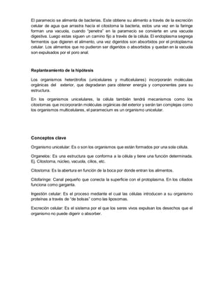 El paramecio se alimenta de bacterias. Este obtiene su alimento a través de la excreción 
celular de agua que arrastra hacía el citostoma la bacteria, estos una vez en la faringe 
forman una vacuola, cuando “penetra” en la paramecio se convierte en una vacuola 
digestiva. Luego estas siguen un camino fijo a través de la célula. El endoplasma segrega 
fermentos que digieren el alimento, una vez digeridos son absorbidos por el protoplasma 
celular. Los alimentos que no pudieron ser digeridos o absorbidos y quedan en la vacuola 
son expulsados por el poro anal. 
Replanteamiento de la hipótesis 
Los organismos heterótrofos (unicelulares y multicelulares) incorporarán moléculas 
orgánicas del exterior, que degradaran para obtener energía y componentes para su 
estructura. 
En los organismos unicelulares, la célula también tendrá mecanismos como los 
citostomas que incorporarán moléculas orgánicas del exterior y serán tan complejas como 
los organismos multicelulares, el paramecium es un organismo unicelular. 
Conceptos clave 
Organismo unicelular: Es o son los organismos que están formados por una sola célula. 
Organelos: Es una estructura que conforma a la célula y tiene una función determinada. 
Ej. Citostoma, núcleo, vacuola, cilios, etc. 
Citostoma: Es la abertura en función de la boca por donde entran los alimentos. 
Citofaringe: Canal pequeño que conecta la superficie con el protoplasma. En los ciliados 
funciona como garganta. 
Ingestión celular: Es el proceso mediante el cual las células introducen a su organismo 
proteínas a través de “de bolsas” como las liposomas. 
Excreción celular: Es el sistema por el que los seres vivos expulsan los desechos que el 
organismo no puede digerir o absorber. 
 