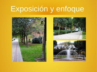 Exposición y enfoque 
 
