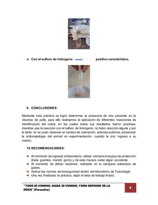 “TODO ES VENENO, NADA ES VENENO, TODO DEPENDE DE LA
DOSIS”(Paracelso)
6
Con el sulfuro de hidrogeno positivo característico.
9. CONCLUSIONES:
Mediante esta práctica se logró determinar la presencia de zinc presente en la
vísceras de pollo, para ello realizamos la aplicación de diferentes reacciones de
identificación del cobre, en las cuales todos sus resultados fueron positivas,
mientras que la reacción con el sulfuro de hidrogeno, no hubo reacción alguna y por
lo tanto no se pudo observar el cambio de coloración, además pudimos presenciar
la sintomatología del animal en experimentación, cuando le zinc ingresa a su
cuerpo.
10.RECOMENDACIONES:
Al momento de ingresar al laboratorio, utilizar siempre el equipo de protección
(bata, guantes, mandil, gorro) y de esta manera evitar algún accidente.
Al momento de utilizar reactivos, realizarlo en la campana extractora de
gases.
Aplicar las normas de bioseguridad dentro del laboratorio de Toxicología.
Una vez finalizado la práctica, dejar el área de trabajo limpio.
 