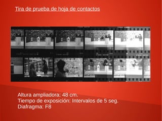 Tira de prueba de hoja de contactos




 Altura ampliadora: 48 cm.
 Tiempo de exposición: Intervalos de 5 seg.
 Diafragma: F8
 