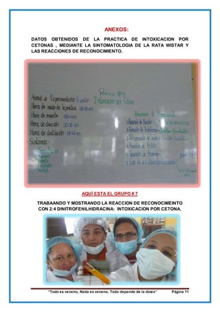 “Todo es veneno, Nada es veneno, Todo depende de la dosis“ Página 11
ANEXOS:
DATOS OBTENIDOS DE LA PRACTICA DE INTOXICACION POR
CETONAS , MEDIANTE LA SINTOMATOLOGIA DE LA RATA WISTAR Y
LAS REACCIONES DE RECONOCIMIENTO.
AQUÍ ESTA EL GRUPO # 7
TRABAANDO Y MOSTRANDO LA REACCION DE RECONOCIMEINTO
CON 2:4 DINITROFENILHIDRACINA: INTOXICACION POR CETONA.
 