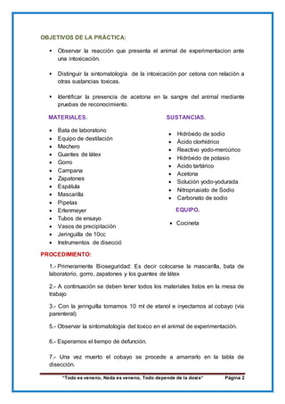 “Todo es veneno, Nada es veneno, Todo depende de la dosis“ Página 2
OBJETIVOS DE LA PRÁCTICA:
 Observar la reacción que presenta el animal de experimentacion ante
una intoxicación.
 Distinguir la sintomatología de la intoxicación por cetona con relación a
otras sustancias toxicas.
 Identificar la presencia de acetona en la sangre del animal mediante
pruebas de reconocimiento.
MATERIALES. SUSTANCIAS.
 Bata de laboratorio
 Equipo de destilación
 Mechero
 Guantes de látex
 Gorro
 Campana
 Zapatones
 Espátula
 Mascarilla
 Pipetas
 Erlenmeyer
 Tubos de ensayo
 Vasos de precipitación
 Jeringuilla de 10cc
 Instrumentos de disección
PROCEDIMIENTO:
1.- Primeramente Bioseguridad: Es decir colocarse la mascarilla, bata de
laboratorio, gorro, zapatones y los guantes de látex
2.- A continuación se deben tener todos los materiales listos en la mesa de
trabajo
3.- Con la jeringuilla tomamos 10 ml de etanol e inyectamos al cobayo (vía
parenteral)
5.- Observar la sintomatología del toxico en el animal de experimentación.
6.- Esperamos el tiempo de defunción.
7.- Una vez muerto el cobayo se procede a amarrarlo en la tabla de
disección.
 Hidróxido de sodio
 Ácido clorhídrico
 Reactivo yodo-mercúrico
 Hidróxido de potasio
 Acido tartárico
 Acetona
 Solución yodo-yodurada
 Nitroprusiato de Sodio
 Carbonato de sodio
EQUIPO.
 Cocineta
 