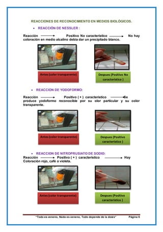 “Todo es veneno, Nada es veneno, Todo depende de la dosis“ Página 6
REACCIONES DE RECONOCIMIENTO EN MEDIOS BIOLÓGICOS.
 REACCIÓN DE NESSLER :
Reacción Positivo No característico No hay
coloración en medio alcalino debia dar un precipitado blanco.
 REACCION DE YODOFORMO:
Reacción Positivo ( + ) caracteristico Se
produce yodoformo reconocible por su olor particular y su color
transparente.
 REACCION DE NITROPRUSIATO DE SODIO:
Reacción Positivo ( + ) caracteristico Hay
Coloración rojo, café o violeta.
Antes (color transparente)
Despues (Positivo
caracteristico )
Antes (color transparente)
Despues (Positivo
caracteristico )
Antes (color transparente) Despues (Positivo No
caracteristico )
 