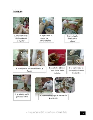 La ciencia es el gran antídoto contra el veneno de la superstición.
4
GRAFICOS
1. Preparamos los
10ml que vamos
a inyectar
2. Inyectamos al
cobayo vía
intraperitoneal
4. se separa las vísceras afectadas y
fluidos
8. Se monta el equipo de destilación
y se destila.
3. se realiza la
disección al
cobayo
5. se añaden 25ml de
solución de ácido
tartarico
6. se transvasa a un
balón para posterior
destilación.
7. Se añaden las 50
perlas de vidrio
 