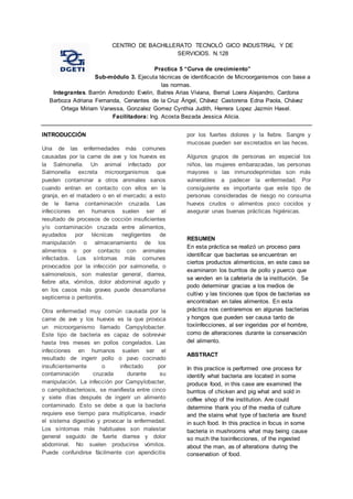 CENTRO DE BACHILLERATO TECNOLÓ GICO INDUSTRIAL Y DE 
SERVICIOS. N.128 
Practica 5 “Curva de crecimiento” 
Sub-módulo 3. Ejecuta técnicas de identificación de Microorganismos con base a 
las normas. 
Integrantes. Barrón Arredondo Evelin, Batres Arias Viviana, Bernal Loera Alejandro, Cardona 
Barboza Adriana Fernanda, Cervantes de la Cruz Ángel, Chávez Castorena Edna Paola, Chávez 
Ortega Miriam Vanessa, Gonzalez Gomez Cynthia Judith, Herrera Lopez Jazmin Hasel. 
Facilitadora: Ing. Acosta Bezada Jessica Alicia. 
INTRODUCCIÓN 
Una de las enfermedades más comunes 
causadas por la carne de ave y los huevos es 
la Salmonella. Un animal infectado por 
Salmonella excreta microorganismos que 
pueden contaminar a otros animales sanos 
cuando entran en contacto con ellos en la 
granja, en el matadero o en el mercado; a esto 
de le llama contaminación cruzada. Las 
infecciones en humanos suelen ser el 
resultado de procesos de cocción insuficientes 
y/o contaminación cruzada entre alimentos, 
ayudados por técnicas negligentes de 
manipulación o almacenamiento de los 
alimentos o por contacto con animales 
infectados. Los síntomas más comunes 
provocados por la infección por salmonella, o 
salmonelosis, son malestar general, diarrea, 
fiebre alta, vómitos, dolor abdominal agudo y 
en los casos más graves puede desarrollarse 
septicemia o peritonitis. 
Otra enfermedad muy común causada por la 
carne de ave y los huevos es la que provoca 
un microorganismo llamado Campylobacter. 
Este tipo de bacteria es capaz de sobrevivir 
hasta tres meses en pollos congelados. Las 
infecciones en humanos suelen ser el 
resultado de ingerir pollo o pavo cocinado 
insuficientemente o infectado por 
contaminación cruzada durante su 
manipulación. La infección por Campylobacter, 
o campilobacteriosis, se manifiesta entre cinco 
y siete días después de ingerir un alimento 
contaminado. Esto se debe a que la bacteria 
requiere ese tiempo para multiplicarse, invadir 
el sistema digestivo y provocar la enfermedad. 
Los síntomas más habituales son malestar 
general seguido de fuerte diarrea y dolor 
abdominal. No suelen producirse vómitos. 
Puede confundirse fácilmente con apendicitis 
por los fuertes dolores y la fiebre. Sangre y 
mucosas pueden ser excretados en las heces. 
Algunos grupos de personas en especial los 
niños, las mujeres embarazadas, las personas 
mayores o las inmunodeprimidas son más 
vulnerables a padecer la enfermedad. Por 
consiguiente es importante que este tipo de 
personas consideradas de riesgo no consuma 
huevos crudos o alimentos poco cocidos y 
asegurar unas buenas prácticas higiénicas. 
RESUMEN 
En esta práctica se realizó un proceso para 
identificar que bacterias se encuentran en 
ciertos productos alimenticios, en este caso se 
examinaron los burritos de pollo y puerco que 
se venden en la cafetería de la institución. Se 
podo determinar gracias a los medios de 
cultivo y las tinciones que tipos de bacterias se 
encontraban en tales alimentos. En esta 
práctica nos centraremos en algunas bacterias 
y hongos que pueden ser causa tanto de 
toxiinfecciones, al ser ingeridas por el hombre, 
como de alteraciones durante la conservación 
del alimento. 
ABSTRACT 
In this practice is performed one process for 
identify what bacteria are located in some 
produce food, in this case are examined the 
burritos of chicken and pig what and sold in 
coffee shop of the institution. Are could 
determine thank you of the media of culture 
and the stains what type of bacteria are found 
in such food. In this practice in focus in some 
bacteria in mushrooms what may being cause 
so much the toxinfecciones, of the ingested 
about the man, as of alterations during the 
conservation of food. 
 