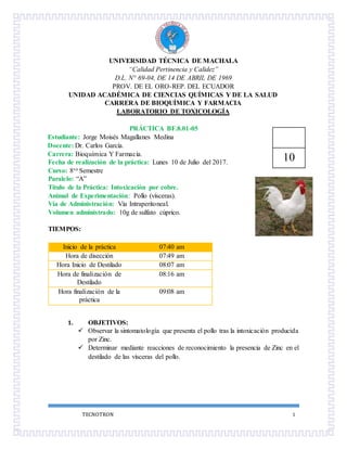 “TODO ES VENENO, NADA ES VENENO, TODO DEPENDE DE LA DOSIS” 1
UNIVERSIDAD TÉCNICA DE MACHALA
“Calidad Pertinencia y Calidez”
D.L. N° 69-04, DE 14 DE ABRIL DE 1969
PROV. DE EL ORO-REP. DEL ECUADOR
UNIDAD ACADÉMICA DE CIENCIAS QUÍMICAS Y DE LA SALUD
CARRERA DE BIOQUÍMICA Y FARMACIA
LABORATORIO DE TOXICOLOGÍA
PRÁCTICA BF.8.01-05
Estudiante: Jorge Moisés Magallanes Medina
Docente: Dr. Carlos García.
Carrera: Bioquímica Y Farmacia.
Fecha de realización de la práctica: Lunes 10 de Julio del 2017.
Curso: 8vo Semestre
Paralelo: “A”
Título de la Práctica: Intoxicación por Zinc.
Animal de Experimentación: Pollo (vísceras).
Vía de Administración: Vía Intraperitoneal.
Volumen administrado: 10 g de Cloruro de Zinc.
TIEMPOS:
Inicio de la práctica 07:40 am
Hora de disección 07:49 am
Hora Inicio de Destilado 08:07 am
Hora de finalización de
Destilado
08:16 am
Hora finalización de la
práctica
09:08 am
1. OBJETIVOS:
 Observar la sintomatología que presenta el pollo tras la intoxicación producida
por Zinc.
 Determinar mediante reacciones de reconocimiento la presencia de Zinc en el
destilado de las vísceras del pollo.
10
 