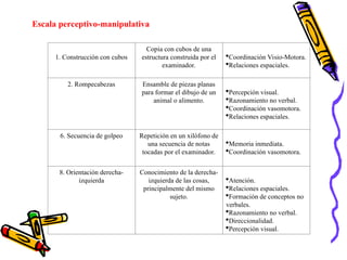 Escala perceptivo-manipulativa
1. Construcción con cubos
Copia con cubos de una
estructura construida por el
examinador.
Coordinación Visio-Motora.
Relaciones espaciales.
2. Rompecabezas Ensamble de piezas planas
para formar el dibujo de un
animal o alimento.
Percepción visual.
Razonamiento no verbal.
Coordinación vasomotora.
Relaciones espaciales.
6. Secuencia de golpeo Repetición en un xilófono de
una secuencia de notas
tocadas por el examinador.
Memoria inmediata.
Coordinación vasomotora.
8. Orientación derecha-
izquierda
Conocimiento de la derecha-
izquierda de las cosas,
principalmente del mismo
sujeto.
Atención.
Relaciones espaciales.
Formación de conceptos no
verbales.
Razonamiento no verbal.
Direccionalidad.
Percepción visual.
 