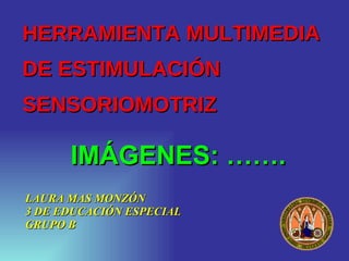 HERRAMIENTA MULTIMEDIA  DE ESTIMULACIÓN SENSORIOMOTRIZ ,[object Object],[object Object],[object Object],IMÁGENES: ……. 