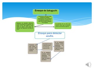 Ensayo de Sakaguchi

Después se procedió Adicionar
0,5ml de solución de hidróxido de
sodio al 5%, dos gotas de alfa
naftol en etanol y dos gotas de
solución de hipoclorito de sodio al
10 %

Tomamos un tubo por cada
sustancia a analizar
adicionamos ,5ml ò 0,25g de
la sustancia a analizar. En
caso de ser sólida, agregue
1ml de agua).
La aparición de un color rojo
intenso indica que la proteína
posee el aminoácido: arginina.

Ensayo para detectar
azufre.

 