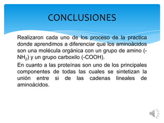 CONCLUSIONES
Realizaron cada uno de los proceso de la practica
donde aprendimos a diferenciar que los aminoácidos
son una molécula orgánica con un grupo de amino (NH2) y un grupo carboxilo (-COOH).
En cuanto a las proteínas son uno de los principales
componentes de todas las cuales se sintetizan la
unión entre si de las cadenas lineales de
aminoácidos.

 
