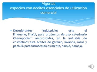 Algunas
especies con aceites esenciales de utilización
comercial

Desodorantes
industriales
esta
el
limoneno, linalol, para productos de uso veterinario
Chenopodium ambrosoides, en la industria de
cosméticos esta aceites de geranio, lavanda, rosas y
pachuli. para farmacéuticos menta, hinojo, naranja.

 