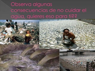 Observa algunas consecuencias de no cuidar el agua, quieres eso para ti??