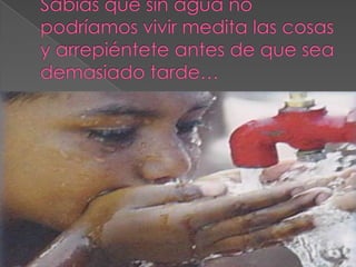 Sabias que sin agua no podríamos vivir medita las cosas y arrepiéntete antes de que sea demasiado tarde…