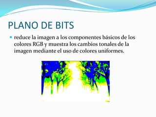 PLANO DE BITSreduce la imagen a los componentes básicos de los colores RGB y muestra los cambios tonales de la imagen mediante el uso de colores uniformes.