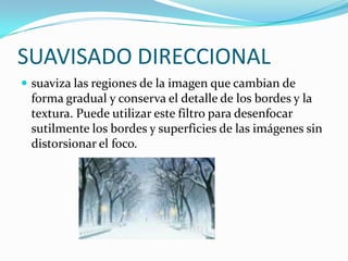 SUAVISADO DIRECCIONALsuaviza las regiones de la imagen que cambian de forma gradual y conserva el detalle de los bordes y la textura. Puede utilizar este filtro para desenfocar sutilmente los bordes y superficies de las imágenes sin distorsionar el foco.