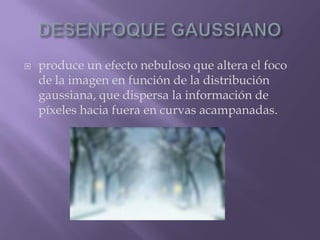 DESENFOQUE GAUSSIANOproduce un efecto nebuloso que altera el foco de la imagen en función de la distribución gaussiana, que dispersa la información de píxeles hacia fuera en curvas acampanadas.
