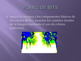 PLANO DE BITSreduce la imagen a los componentes básicos de los colores RGB y muestra los cambios tonales de la imagen mediante el uso de colores uniformes.