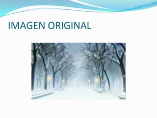 IMAGEN ORIGINAL