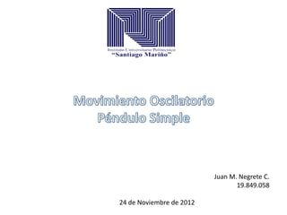 Juan M. Negrete C.
                                 19.849.058

24 de Noviembre de 2012
 