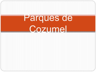 Parques de
Cozumel
 