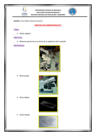 UNIVERSIDAD TÉCNICA DE MACHALA
FACULTAD DE CIENCIAS MÉDICAS
SISTEMA NACIONAL DE NIVELACIÓN Y ADMISIÓN

Nombre: Irina Yaditza Falcones Guamán

PRACTICA DE LABORATORIO Nº 6
TEMA:
 Célula vegetal
OBJETIVO:
 Observar partes de una célula de la epidermis de la cebolla.
MATERIALES:

 Microscopio

 Porta objeto

 Cubre objeto

 