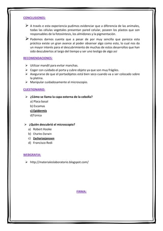 CONCLUSIONES:



A través e esta experiencia pudimos evidenciar que a diferencia de las animales,
todas las células vegetales presentan pared celular, poseen los plastos que son
responsables de la fotosíntesis, los almidones y la pigmentación.

 Podemos

darnos cuenta que a pesar de por muy sencilla que parezca esta
práctica existe un gran avance al poder observar algo como esto, lo cual nos da
un mayor interés para el descubrimiento de muchas de estos desarrollos que han
sido descubiertos al largo del tiempo y ser uno testigo de algo así

RECOMENDACIONES:
 Utilizar mandil para evitar manchas.
 Coger con cuidado el porta y cubre objeto ya que son muy frágiles.
 Asegurarse de que el portaobjetos está bien seco cuando va a ser colocado sobre
la platina.
 Manipular cuidadosamente el microscopio.
CUESTIONARIO:
 ¿Cómo se llama la capa externa de la cebolla?
a) Placa basal
b) Escamas
c) Epidermis
d)Túnica
 ¿Quién descubrió el microscopio?
a) Robert Hooke
b) Charles Darwin
c) Zachariasjanssen
d) Francisco Redi

WEBGRAFIA:
 http://materialeslaboratorio.blogspot.com/

FIRMA:

 