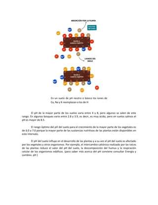 En un suelo de pH neutro o básico los iones de
                         Ca, Na y K reemplazan a los de H


        El pH de la mayor parte de los suelos varía entre 4 y 8, pero algunos se salen de este
rango. En algunos bosques varía entre 2.8 y 3.9, es decir, es muy ácido, pero en suelos salinos el
pH es mayor de 8.5.

        El rango óptimo del pH del suelo para el crecimiento de la mayor parte de los vegetales es
de 6.0 a 7.0 porque la mayor parte de las sustancias nutritivas de las plantas están disponibles en
este intervalo.

        El pH del suelo influye en el desarrollo de las plantas y a su vez el pH del suelo es afectado
por los vegetales y otros organismos. Por ejemplo, el intercambio catiónico realizado por las raíces
de las plantas reduce el valor del pH del suelo, la descomposición del humus y la respiración
celular de los organismos edáficos. (para saber más acerca del pH conviene consultar Energía y
cambios. pH )
 