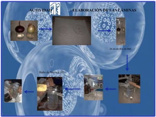 ACTIVIDAD : ELABORACIÓN DE LAS LÁMINAS
25 ml de HCL (0.5M)
Baño de María a 60º
 