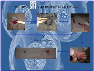 ACTIVIDAD : ELABORACIÓN DE LAS LÁMINAS
Repetir el procedimiento
 