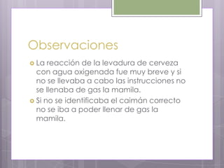 Observaciones
 La  reacción de la levadura de cerveza
  con agua oxigenada fue muy breve y si
  no se llevaba a cabo las instrucciones no
  se llenaba de gas la mamila.
 Si no se identificaba el caimán correcto
  no se iba a poder llenar de gas la
  mamila.
 
