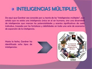  INTELIGENCIAS MÚLTIPLES De aquí que Gardner sea conocido por su teoría de las “inteligencias múltiples”, que señala que no existe una inteligencia única en el ser humano, sino una diversidad de inteligencias que marcan las potencialidades y acentos significativos de cada individuo, trazados por las fortalezas y debilidades en toda una serie de escenarios de expansión de la inteligencia.Hasta la fecha, Gardner ha identificado ocho tipos de inteligencias: