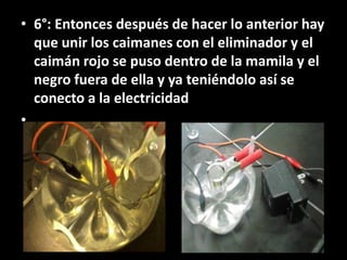 • 6°: Entonces después de hacer lo anterior hay
  que unir los caimanes con el eliminador y el
  caimán rojo se puso dentro de la mamila y el
  negro fuera de ella y ya teniéndolo así se
  conecto a la electricidad
•
 