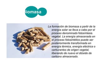 Biomasa


          La formación de biomasa a partir de la
             energía solar se lleva a cabo por el
             proceso denominado fotosíntesis
             vegetal. La energía almacenada en
             el proceso fotosintético puede ser
             posteriormente transformada en
             energía térmica, energía eléctrica o
             carburantes de origen vegetal,
             liberando de nuevo el dióxido de
             carbono almacenado.
 