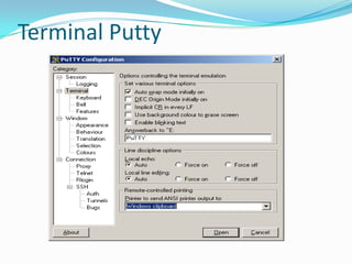 Terminal Putty
 