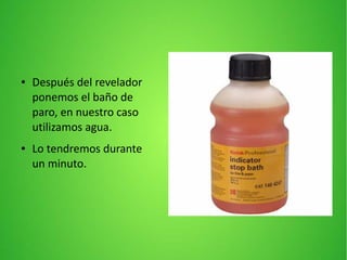 ● Después del revelador
ponemos el baño de
paro, en nuestro caso
utilizamos agua.
● Lo tendremos durante
un minuto.
 